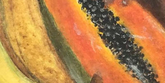 Portfolio Still Life - Woman with Fruit - Oil Paintings by Leah Shyra